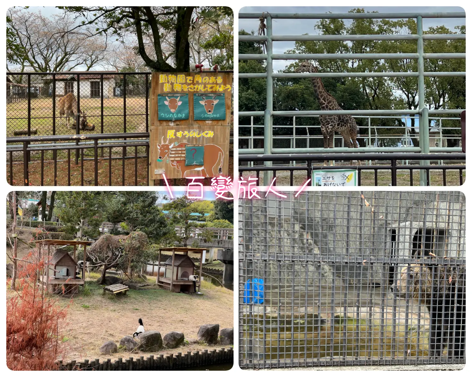 KumamotoCityZoo